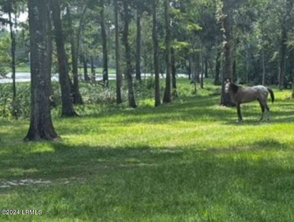 4 Acres of Residential Land for Sale in Hardeeville, South Carolina