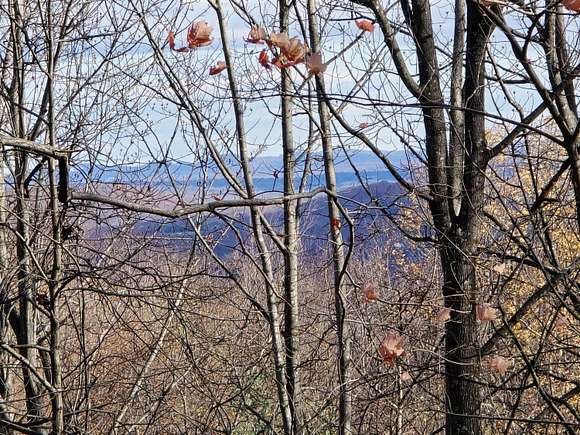 31 Acres of Recreational Land for Sale in Thaxton, Virginia