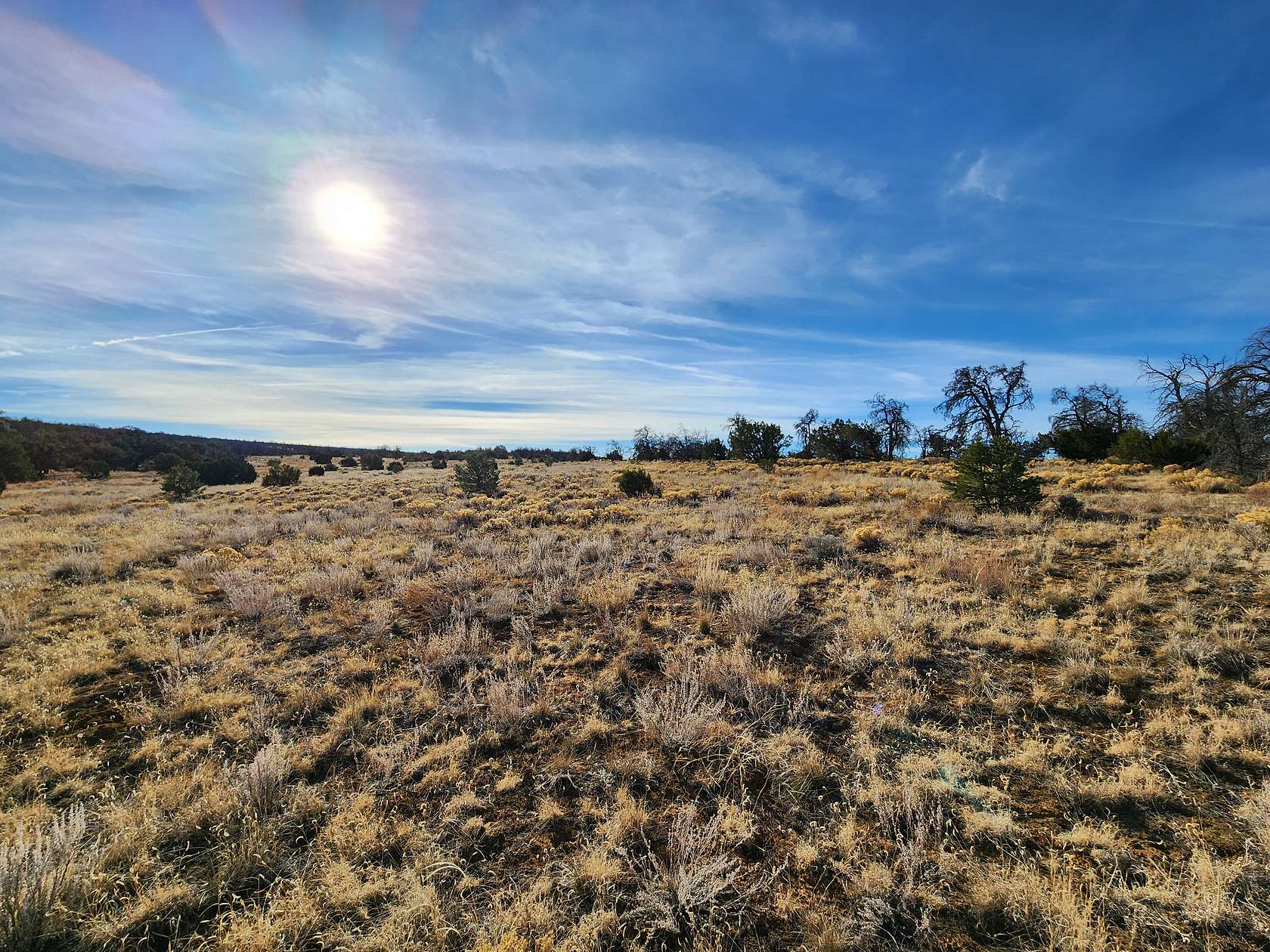 2.5 Acres of Residential Land for Sale in Pinehill, New Mexico