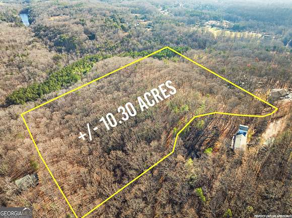 10.3 Acres of Land for Sale in Cleveland, Georgia