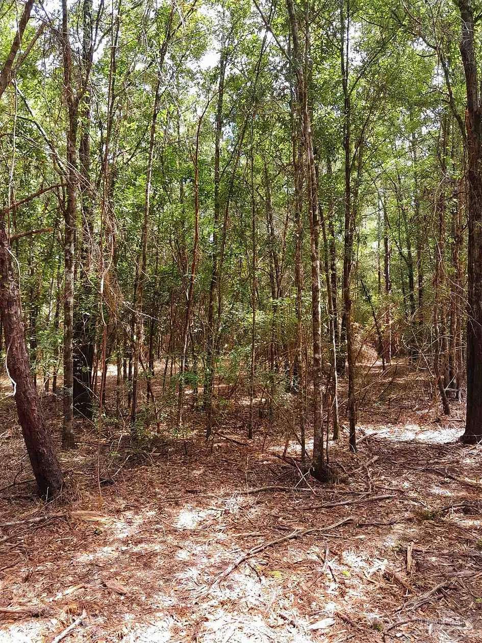 15 Acres of Recreational Land for Sale in Harold, Florida