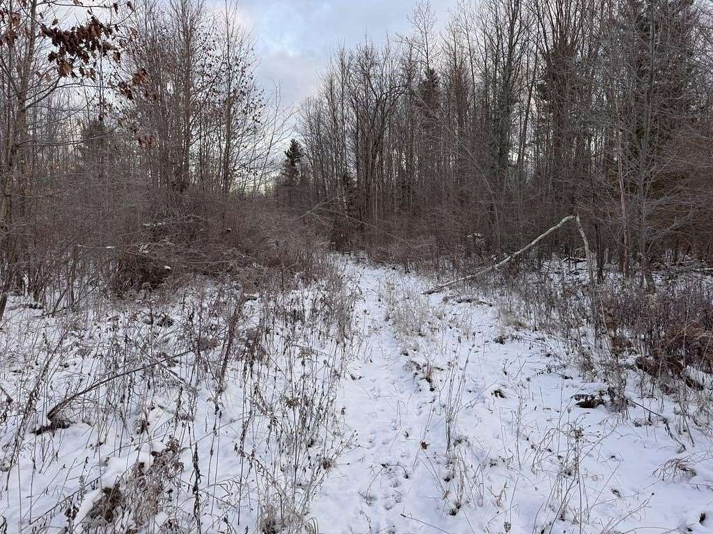 39 Acres of Land for Sale in Ossineke, Michigan