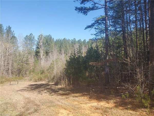 15.7 Acres of Land for Sale in Franklinville, North Carolina