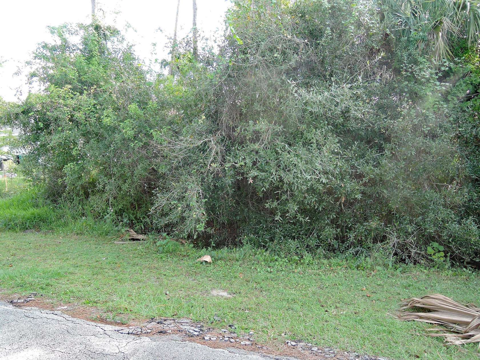 Residential Land for Sale in Fort Pierce, Florida