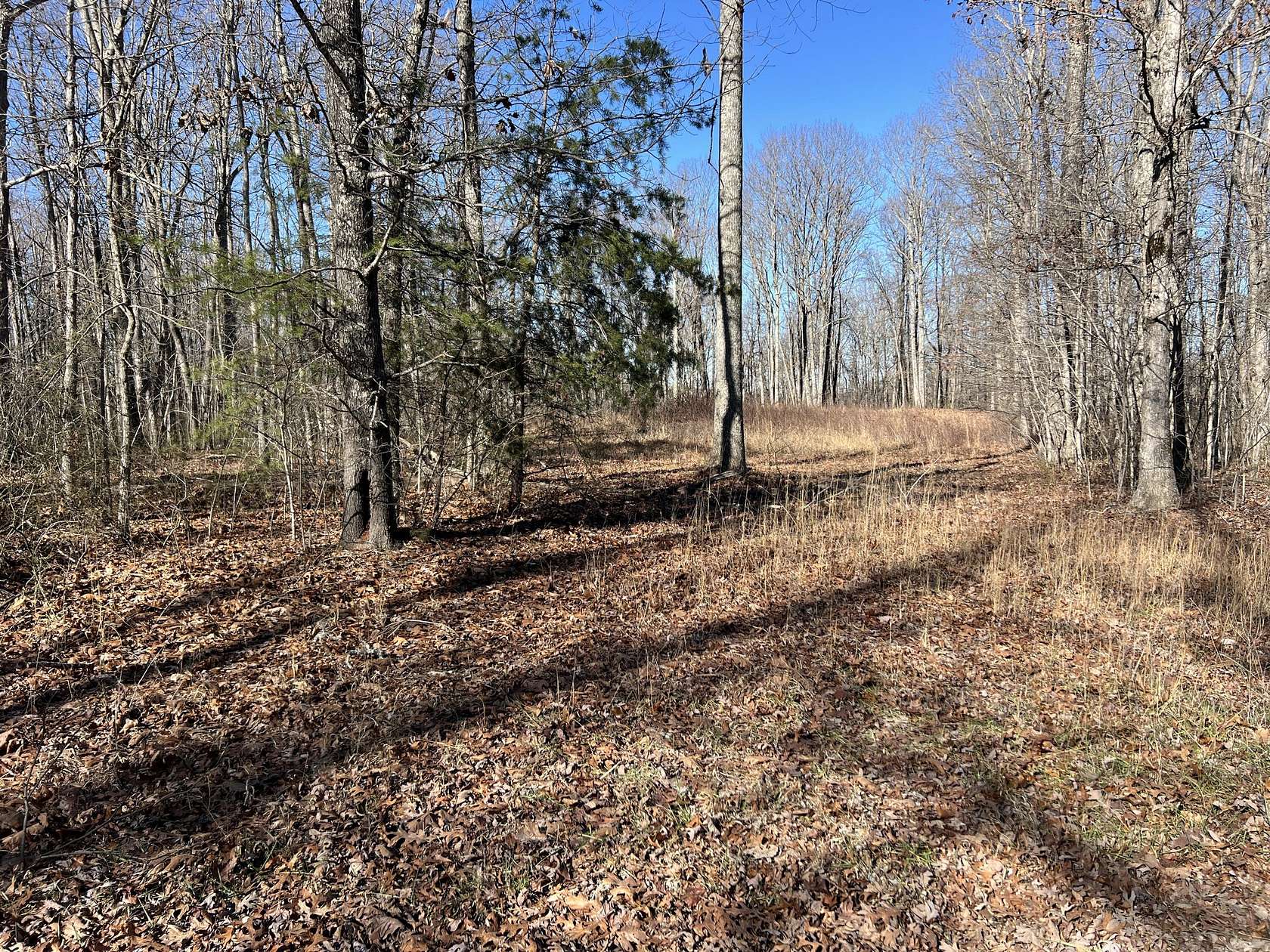 14.16 Acres of Land for Sale in Pikeville, Tennessee