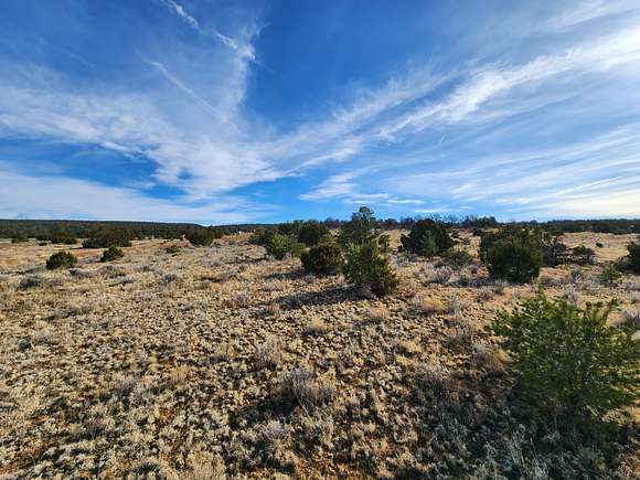 2.5 Acres of Residential Land for Sale in Pinehill, New Mexico