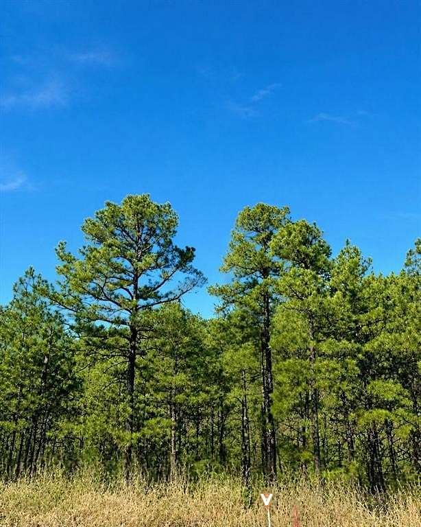 1 Acre of Residential Land for Sale in Broken Bow, Oklahoma