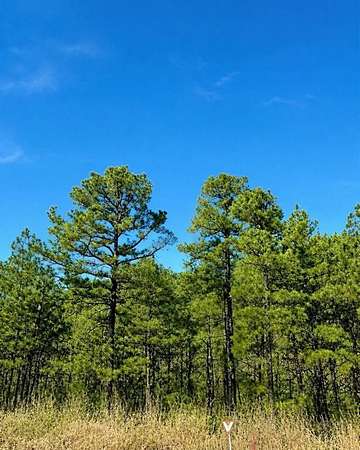 1 Acre of Residential Land for Sale in Broken Bow, Oklahoma