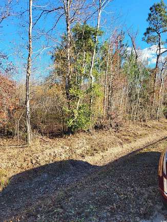 100 Acres of Land for Sale in Longs, South Carolina