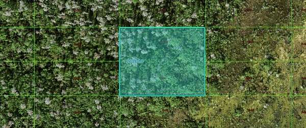 2 Acres of Land for Sale in Polk City, Florida
