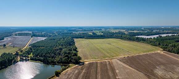 506 Acres of Agricultural Land for Auction in Doerun, Georgia