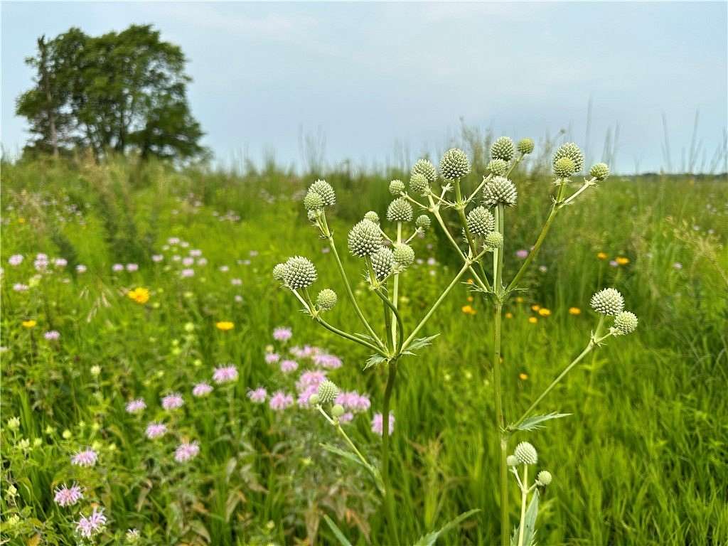 5 Acres of Land for Sale in Mingo, Iowa