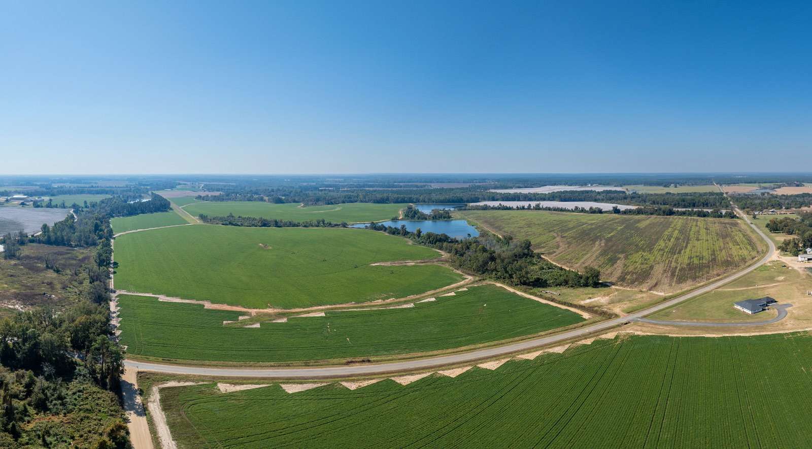 73 Acres of Agricultural Land for Auction in Doerun, Georgia