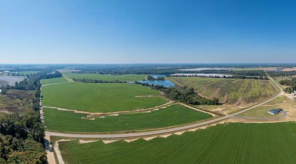 73 Acres of Agricultural Land for Auction in Doerun, Georgia