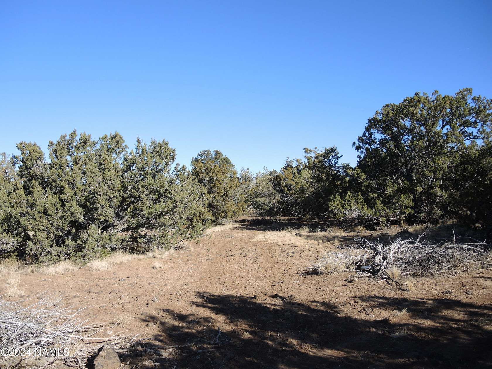 1 Acre of Residential Land for Sale in Williams, Arizona