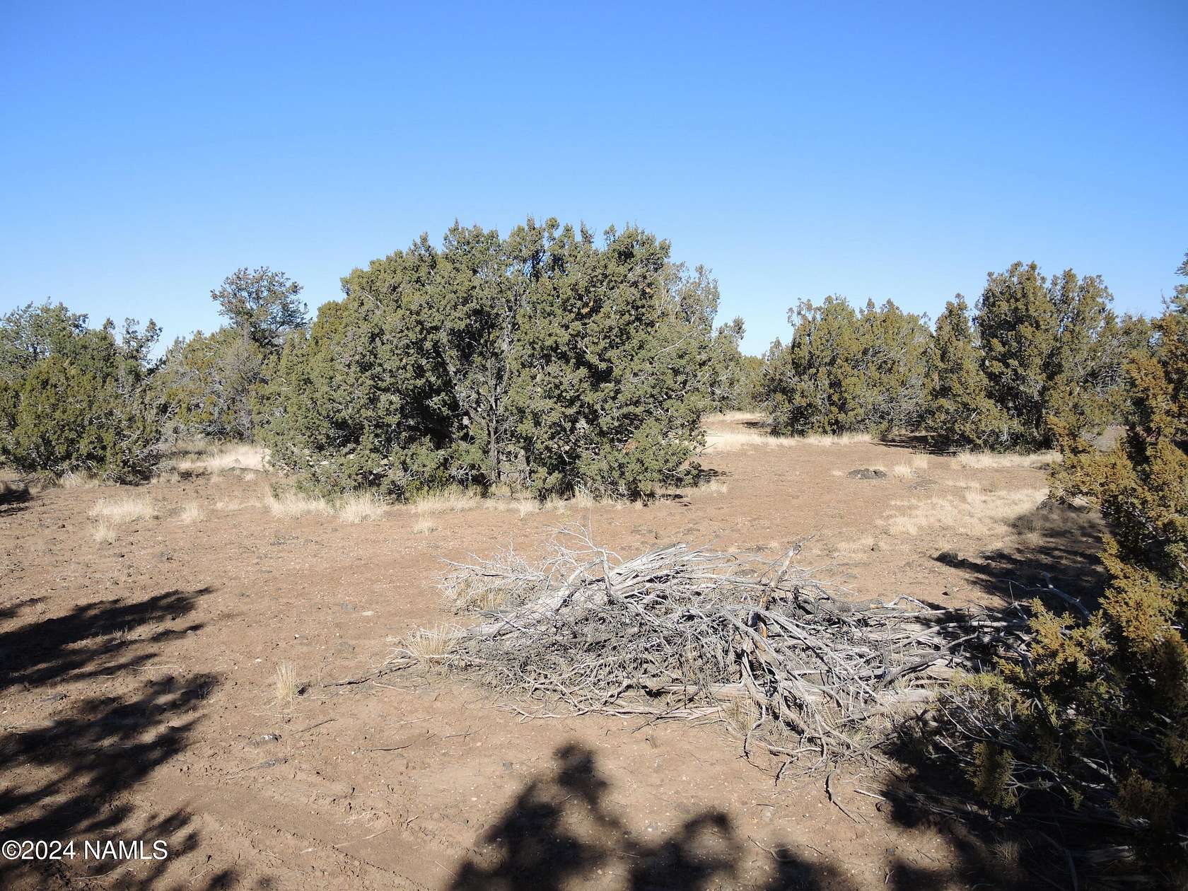 1 Acre of Residential Land for Sale in Williams, Arizona