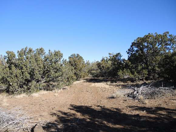 1 Acre of Residential Land for Sale in Williams, Arizona