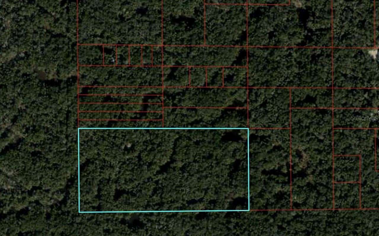 20 Acres of Recreational Land for Sale in Gulf Hammock, Florida