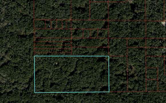 20 Acres of Recreational Land for Sale in Gulf Hammock, Florida