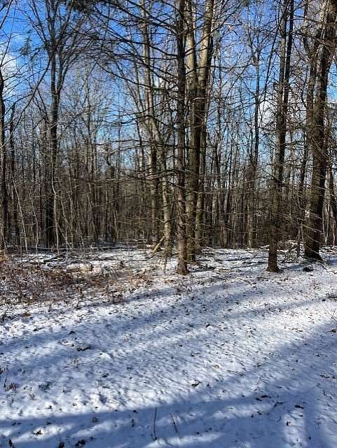 3.6 Acres of Residential Land with Home for Sale in Canadice Town, New York