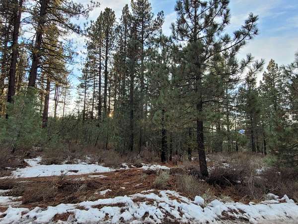 3 Acres of Land for Sale in Portola, California