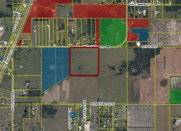 40 Acres of Agricultural Land for Sale in Arcadia, Florida