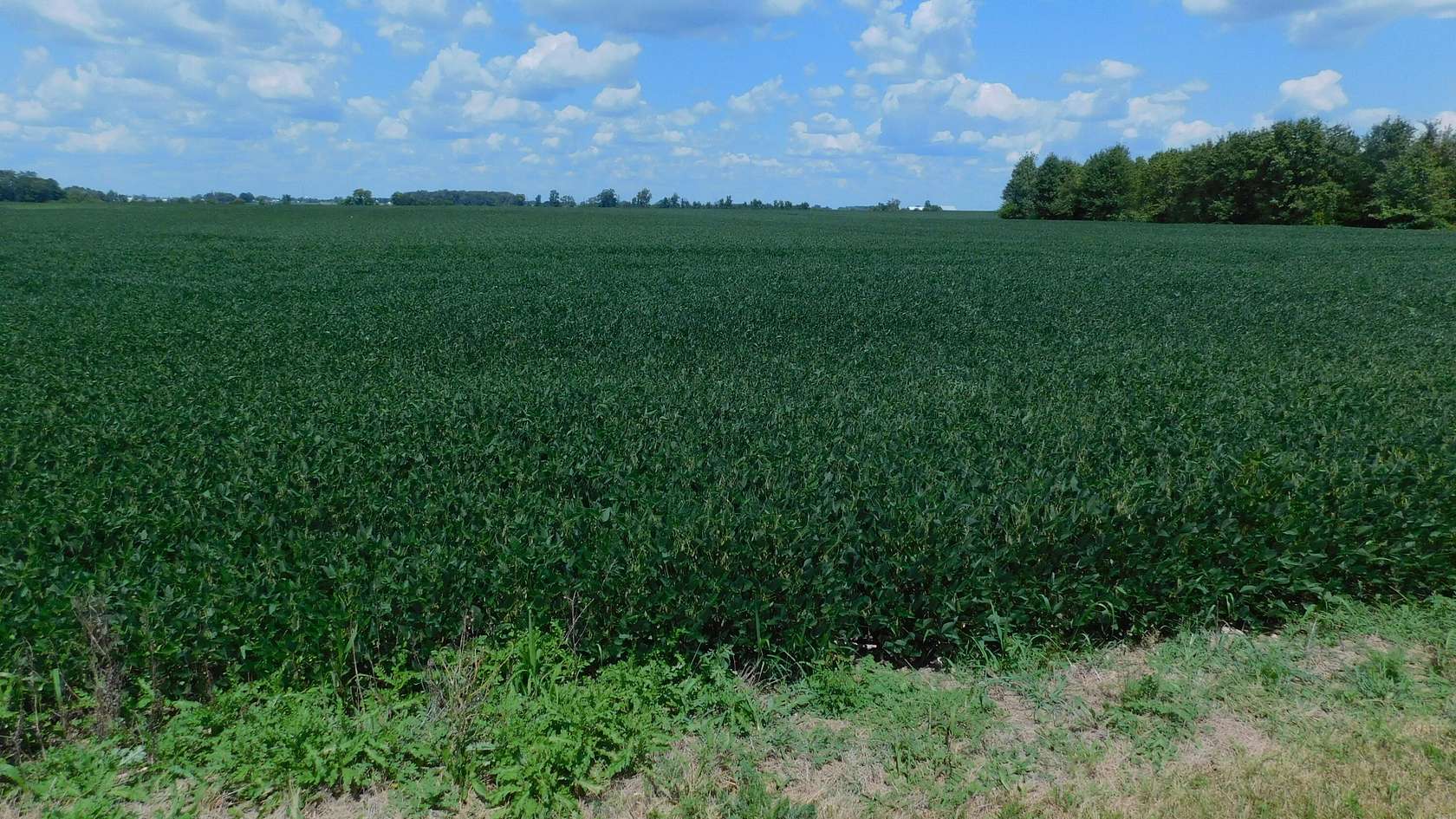 74.1 Acres of Agricultural Land for Sale in Arcanum, Ohio