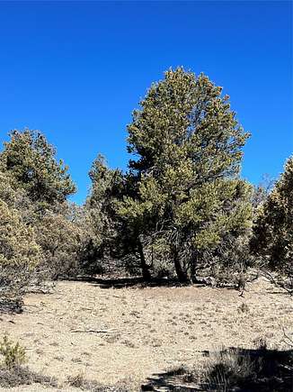 2.73 Acres of Residential Land for Sale in Los Ojos, New Mexico