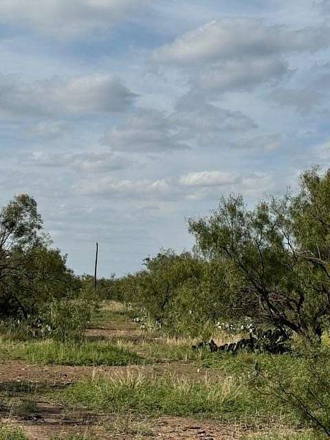 5 Acres of Residential Land for Sale in Carlsbad, Texas