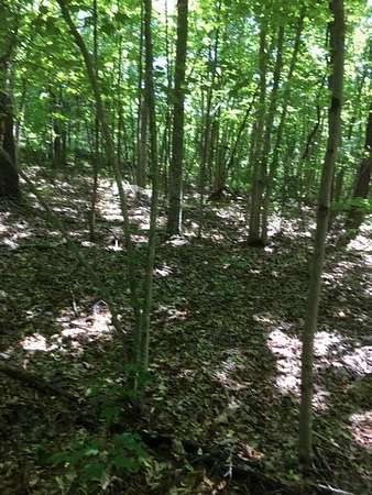 7 Acres of Land for Sale in Wilder, Tennessee