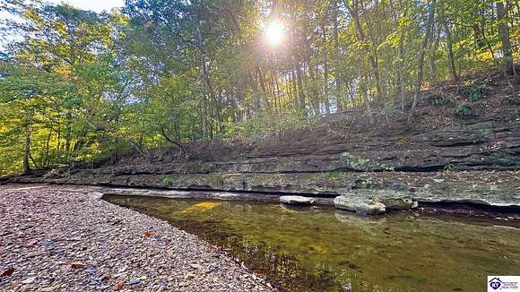 20 Acres of Agricultural Land for Sale in Bradfordsville, Kentucky