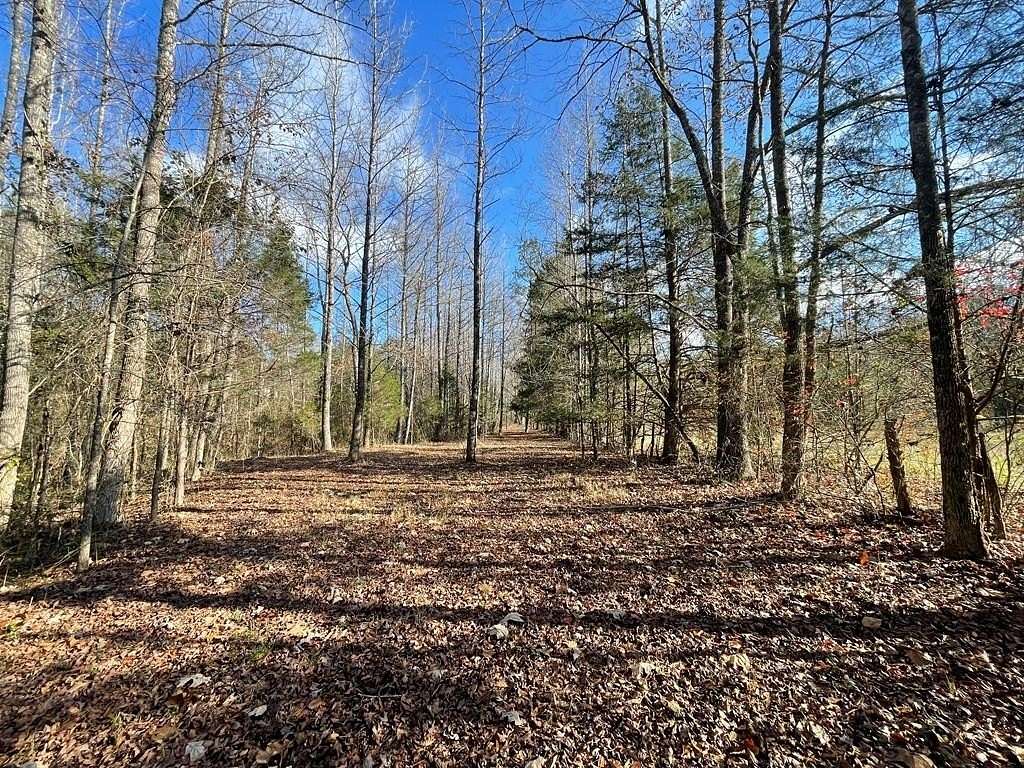 7 Acres of Residential Land for Sale in Oxford, Mississippi