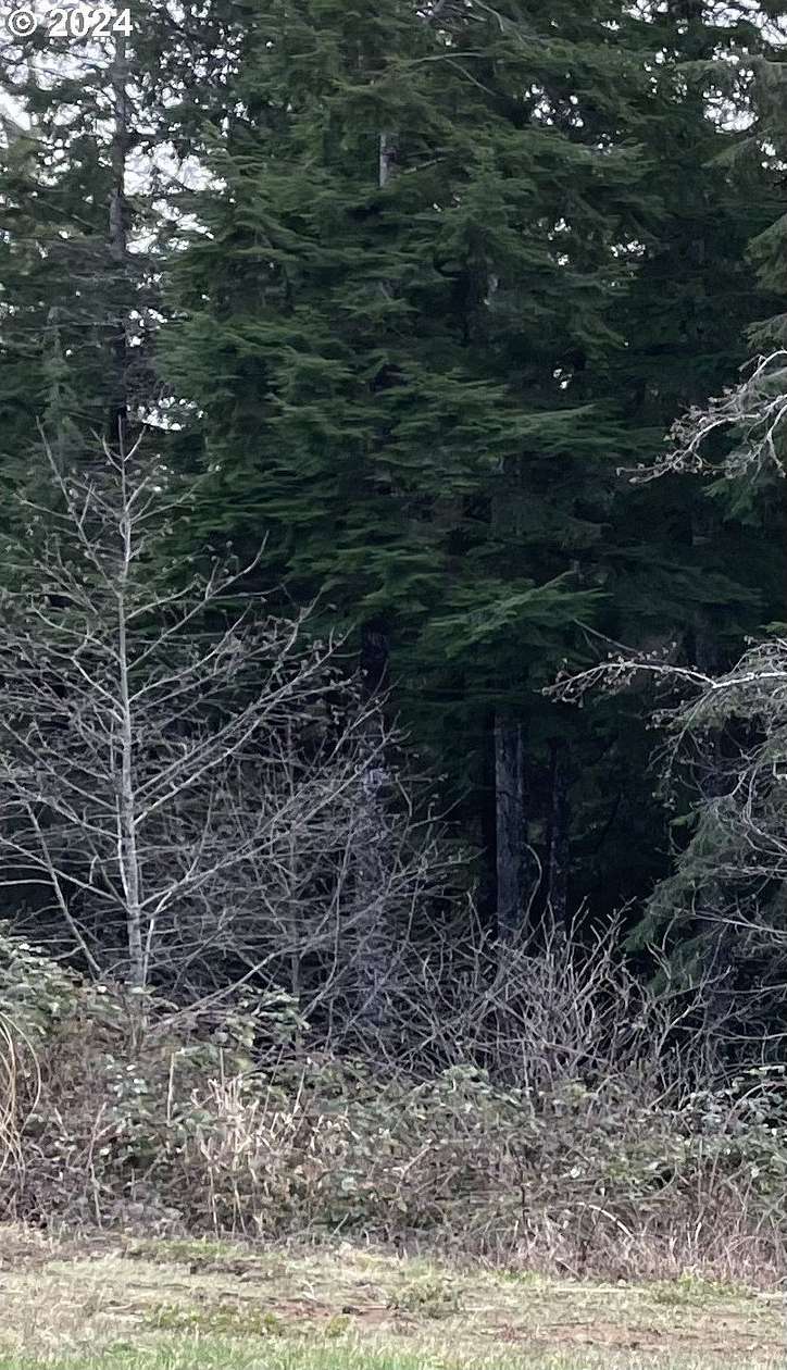 0.3 Acres of Residential Land for Sale in Aberdeen, Washington