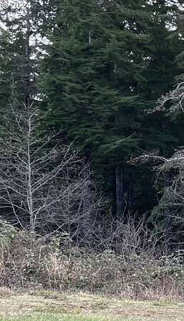 0.3 Acres of Residential Land for Sale in Aberdeen, Washington