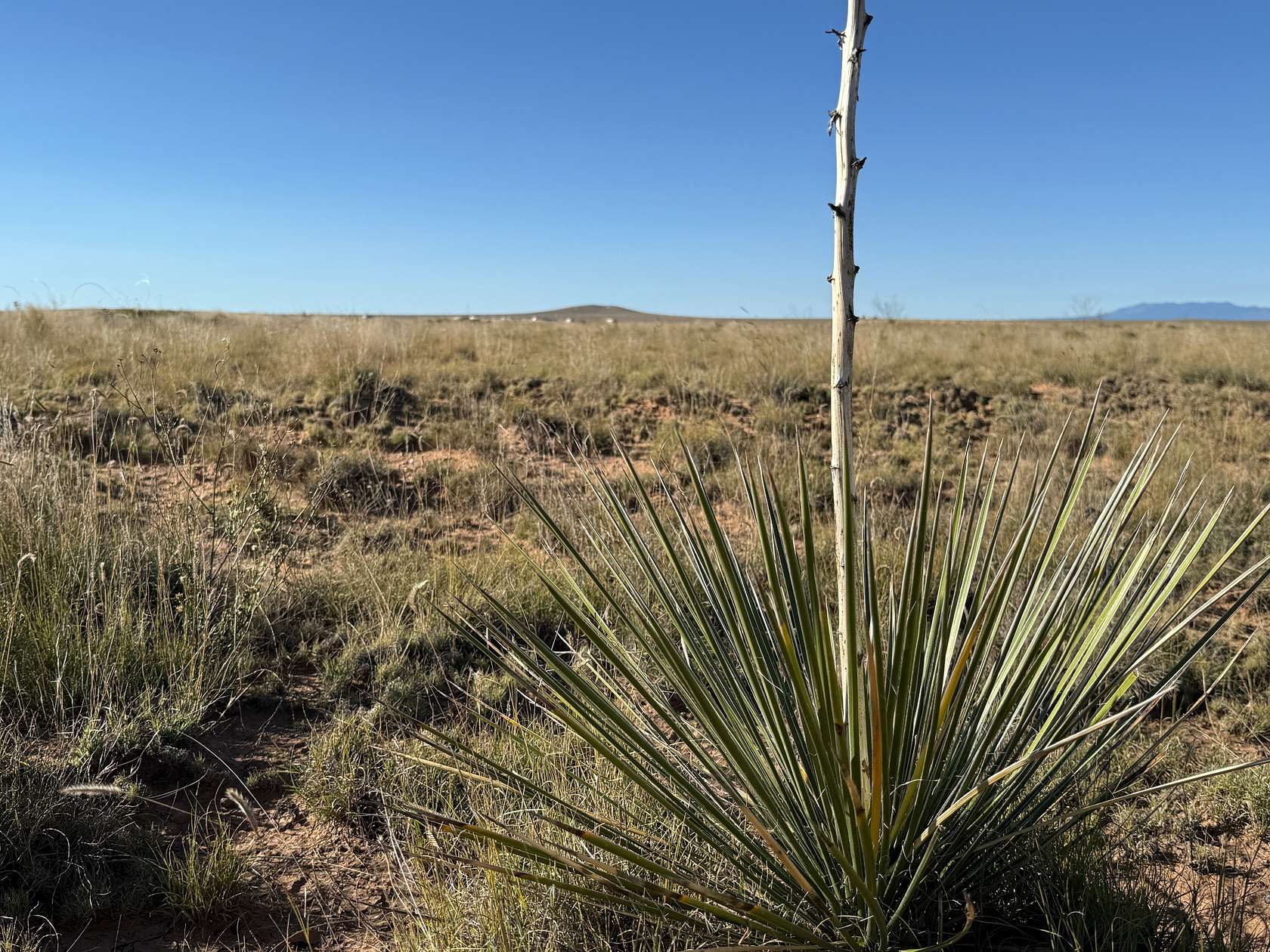 1 Acre of Residential Land for Sale in Moriarty, New Mexico
