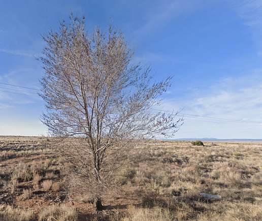 1 Acre of Residential Land for Sale in Moriarty, New Mexico