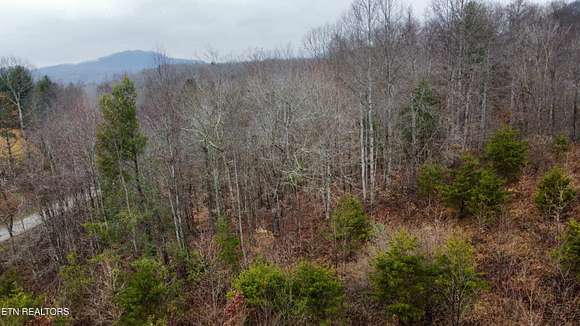 14.8 Acres of Recreational Land for Sale in Pioneer, Tennessee