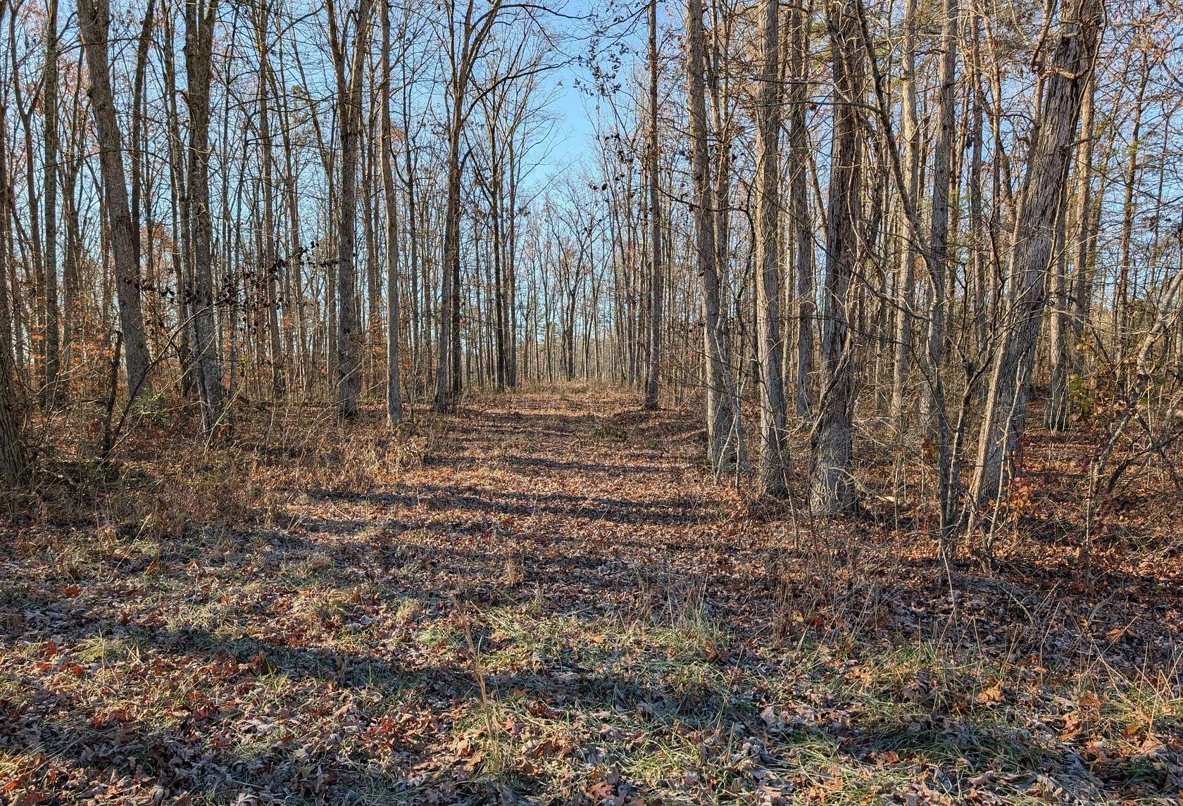 4.7 Acres of Land for Sale in Beattyville, Kentucky