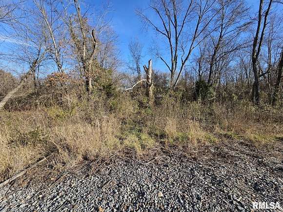 5 Acres of Residential Land for Sale in Bonnie, Illinois