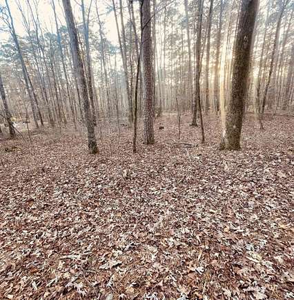 0.26 Acres of Residential Land for Sale in Hot Springs Village, Arkansas