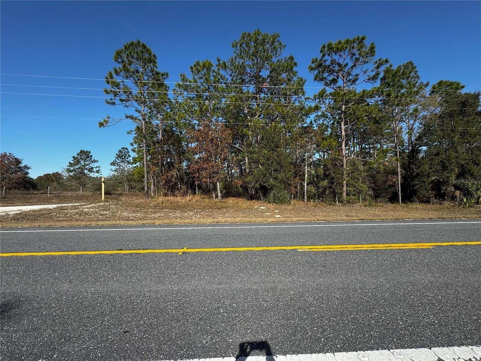 1.1 Acres of Residential Land for Sale in Morriston, Florida