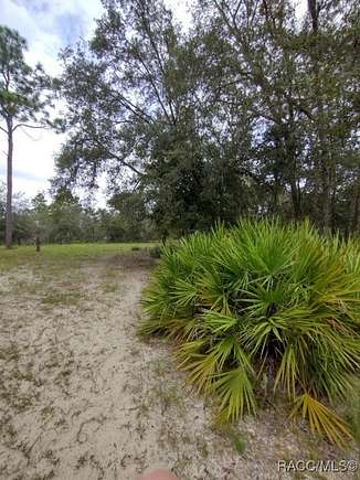 2.52 Acres of Land for Sale in Dunnellon, Florida