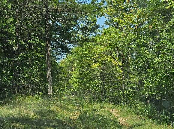 0.09 Acres of Residential Land for Sale in Isabella, Missouri