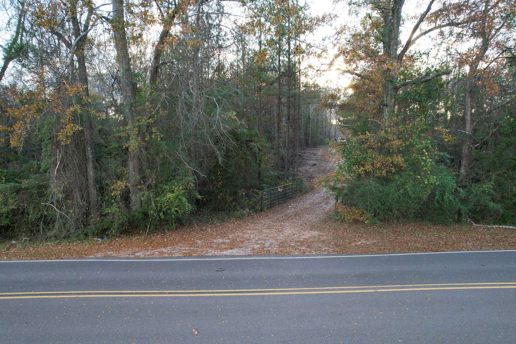 83 Acres of Recreational Land for Sale in Billingsley, Alabama