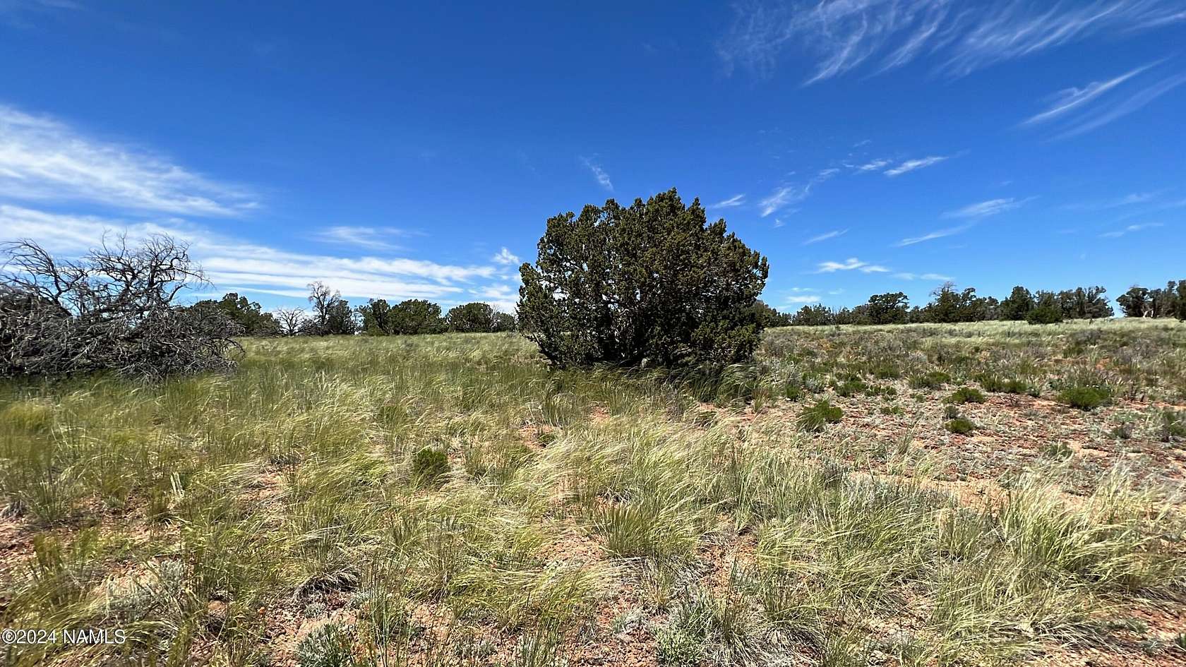 10 Acres of Residential Land for Sale in Williams, Arizona