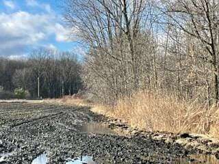 22 Acres of Land for Sale in Applegate, Michigan