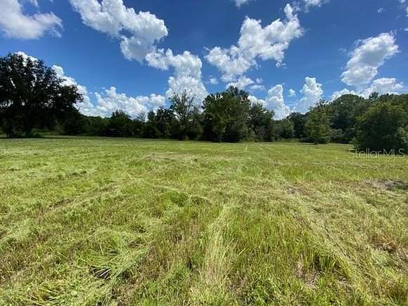 5.42 Acres of Agricultural Land for Sale in Wesley Chapel, Florida