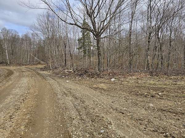 16 Acres of Recreational Land for Sale in Springfield, Maine