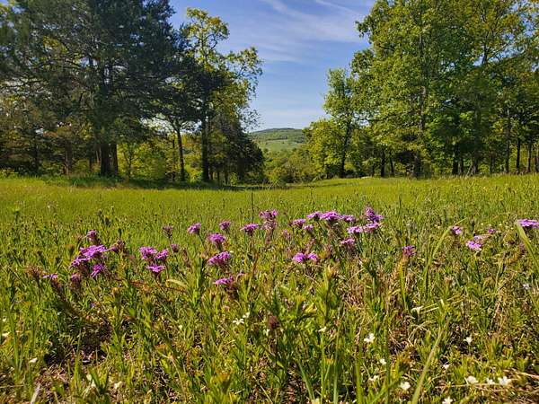 0.84 Acres of Residential Land for Sale in Shell Knob, Missouri
