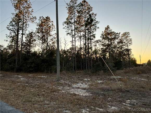 0.24 Acres of Residential Land for Sale in Dunnellon, Florida